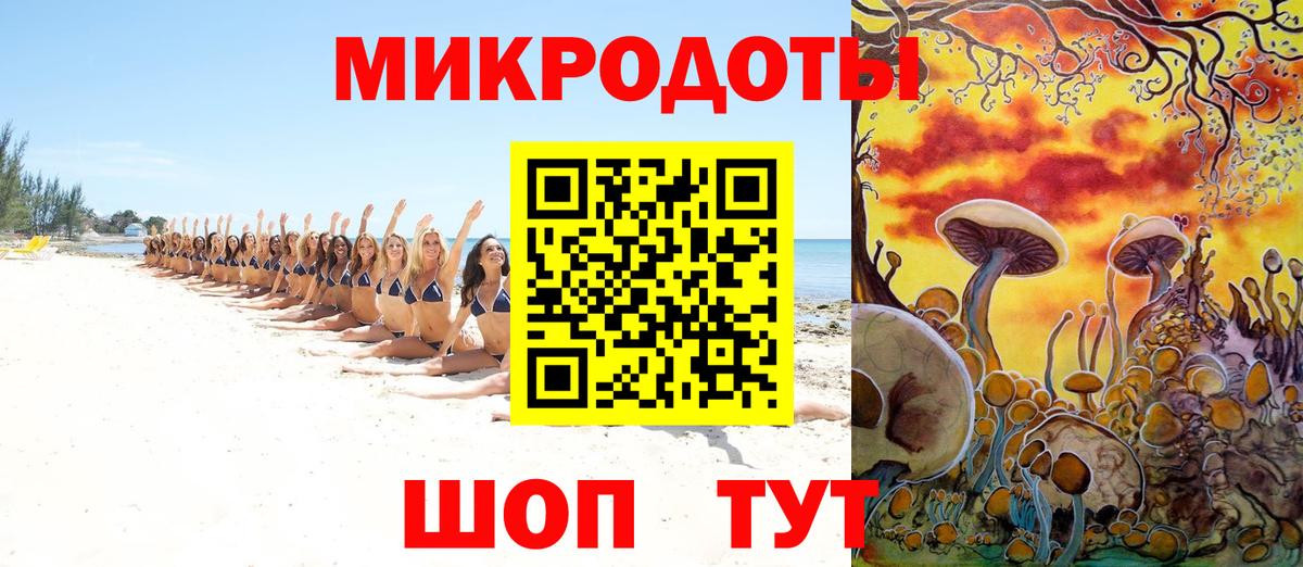 Киржач  Псилоцибиновые грибы Psilocybe  Вход с VPN 
